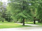 фото отеля Hotel le Majestic Bagneres-de-Luchon