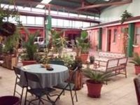 Green House Hostel