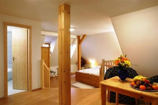 фото отеля Zlaty Andel Hotel Cesky Krumlov