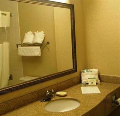 фото отеля Holiday Inn Roanoke - Tanglewood