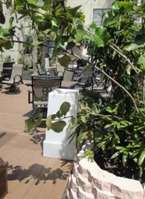 фото отеля South Beach Plaza Villas