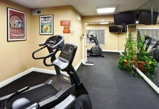 фото отеля Holiday Inn & Suites near Busch Gardens - USF