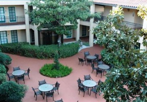 фото отеля Holiday Inn & Suites near Busch Gardens - USF