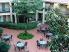 фото отеля Holiday Inn & Suites near Busch Gardens - USF