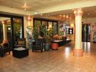 фото отеля Holiday Inn & Suites near Busch Gardens - USF