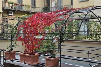 фото отеля Hotel Roma e Rocca Cavour