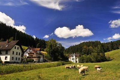 фото отеля Gasthof Hirschen Dorfmühle Biederbach
