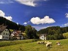 фото отеля Gasthof Hirschen Dorfmühle Biederbach