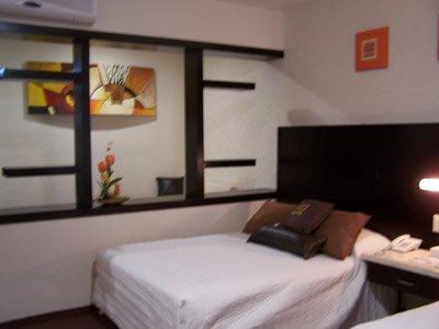 фото отеля Hotel Aguascalientes