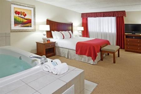 фото отеля Holiday Inn Flint