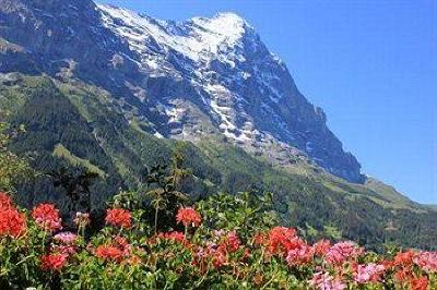 фото отеля Hotel Alpenhof Grindelwald