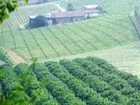 фото отеля Quercia Rossa Country House Manciano