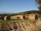 фото отеля Quercia Rossa Country House Manciano