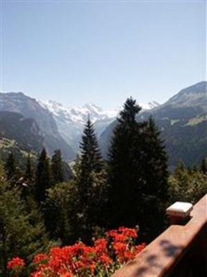 фото отеля Alpenruhe Kulm Hotel