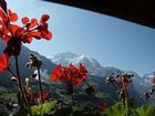 фото отеля Alpenruhe Kulm Hotel