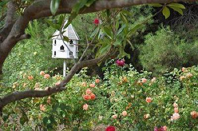 фото отеля Lyndoch Hill Retreat