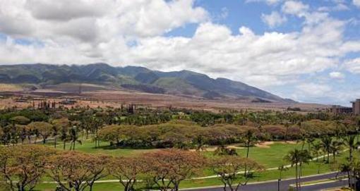 фото отеля Kaanapali Alii