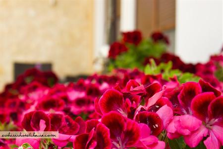 фото отеля Esthisis Suites Chania Platanias