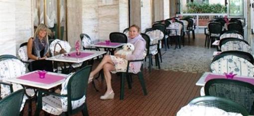 фото отеля Albergo Ragno