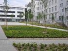 фото отеля Star Inn Hotel Wien Schoenbrunn