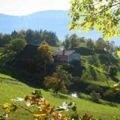 фото отеля Pension Roderer