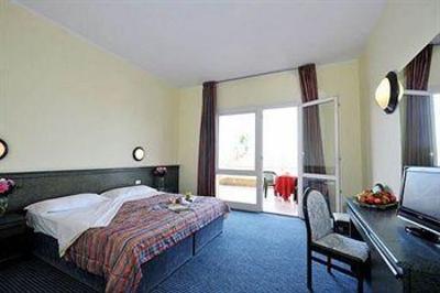 фото отеля Internazionale Hotel Torri del Benaco