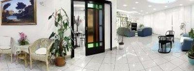 фото отеля Hotel Majore