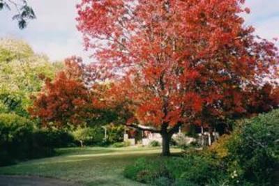 фото отеля Banderra Bed & Breakfast Wellington (Australia)