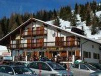 Hotel Grizzly