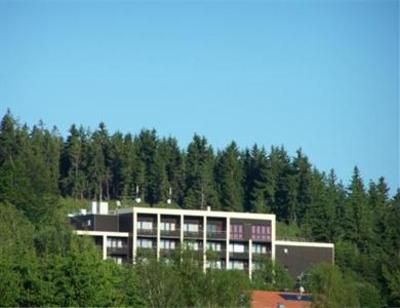 фото отеля Ferienhotel Hochstein