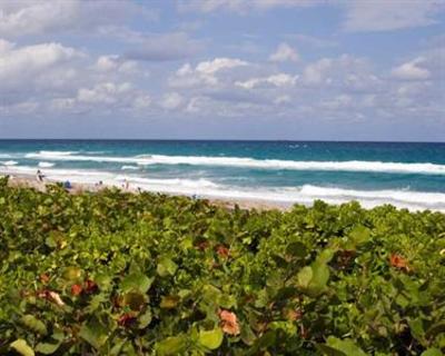 фото отеля Hampton Inn Boca Raton