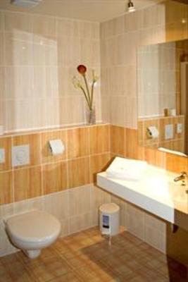 фото отеля Hotel Termal Mušov Brno