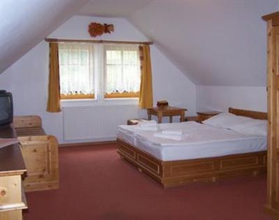 фото отеля Hotel Vysluni