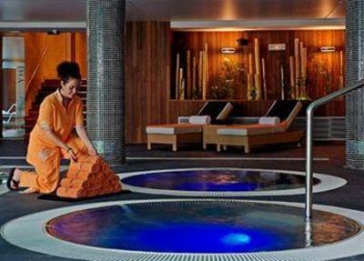 фото отеля Melia Sol y Nieve