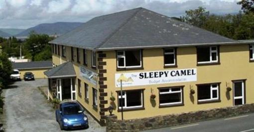 фото отеля The Sleepy Camel Hostel
