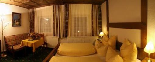 фото отеля Hotel Gruener Baum Bach