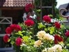 фото отеля Gasthof Roseneck