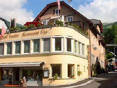 фото отеля Hotel Traube Scuol