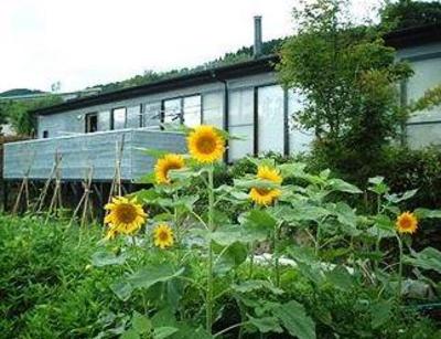 фото отеля Homey Inn Enya