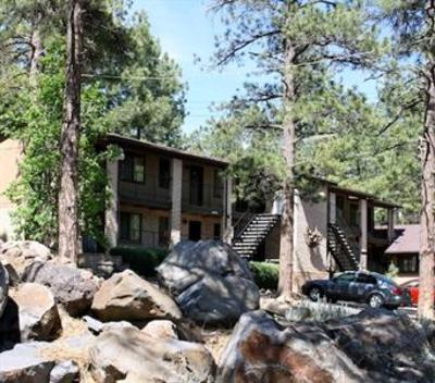 фото отеля Motel in the Pines