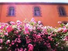 фото отеля Antic Balneari de Rocallaura