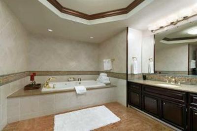фото отеля Embassy Suites Hotel Little Rock