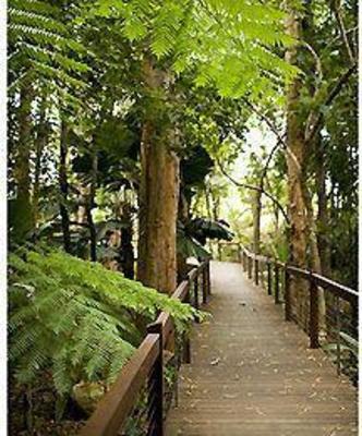 фото отеля Novotel Palm Cove Resort
