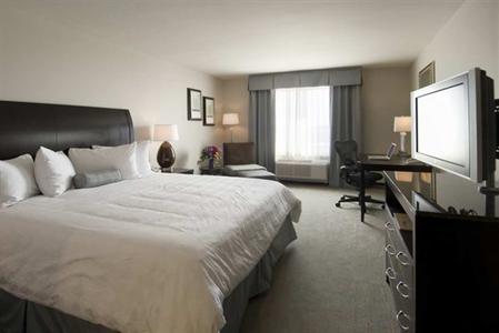 фото отеля Hilton Garden Inn Dallas Lewisville