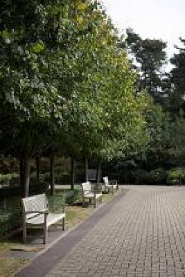 фото отеля Heerlickheijd Van Ermelo