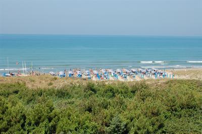 фото отеля Hotel Goya Forte dei Marmi