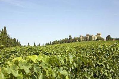 фото отеля Hostellerie Chateau des Fines Roches