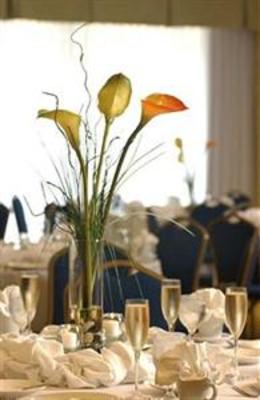 фото отеля Doubletree Hotel Greensboro