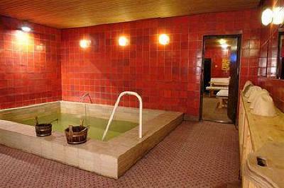 фото отеля Izmailovo Alfa Hotel Moscow