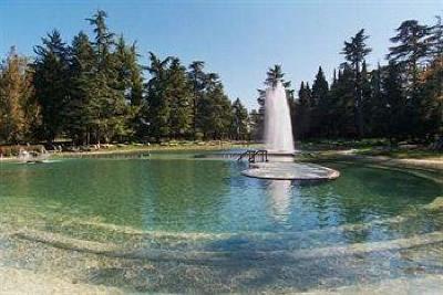 фото отеля Villa dei Cedri